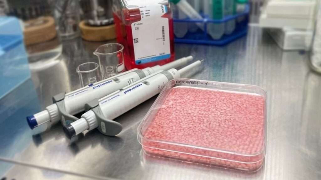 A stainless steel laboratory bench with scientific equipment for cell culturing, including pipettes, a petri dish, and a bottle of liquid.